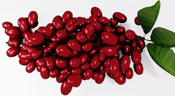 Dogwood grapes 3D model