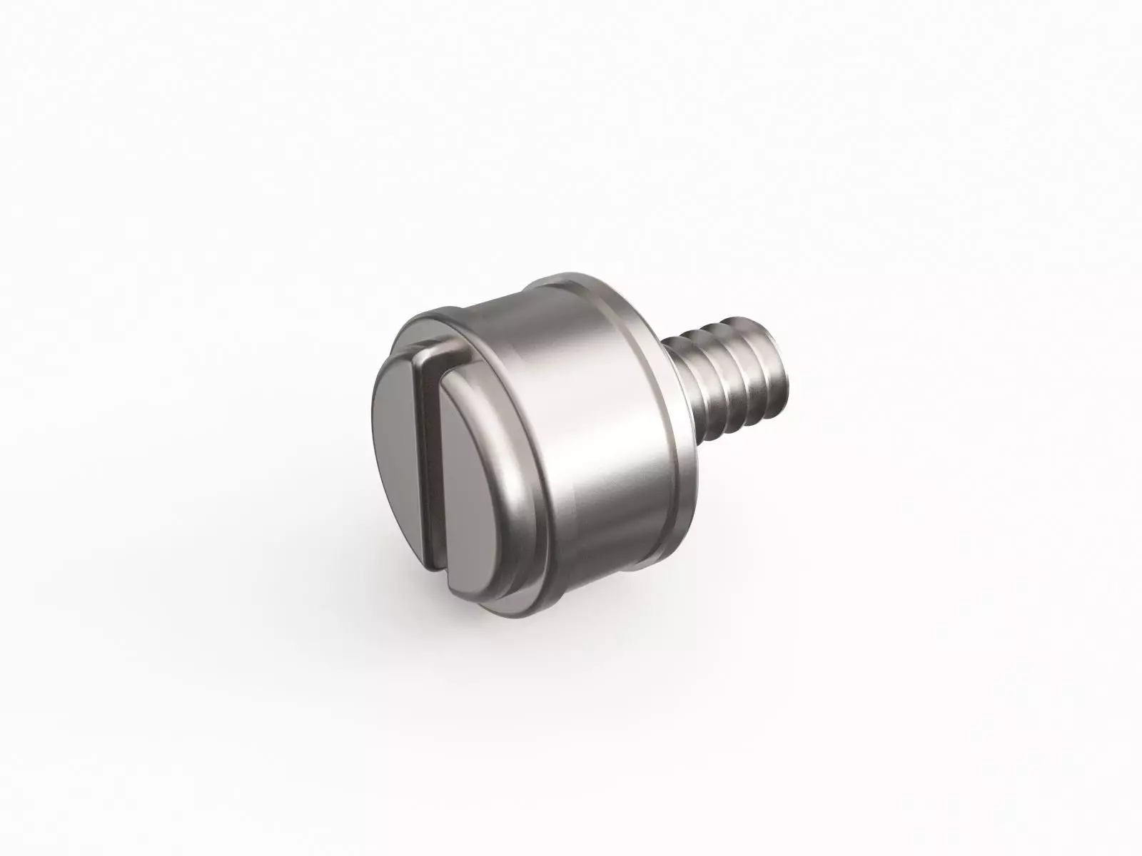 Screw 10 3D model