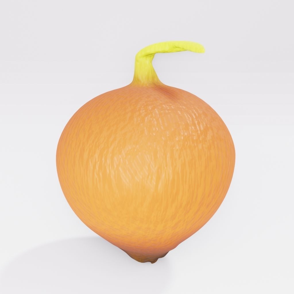 Onion two oranges 3D model_2