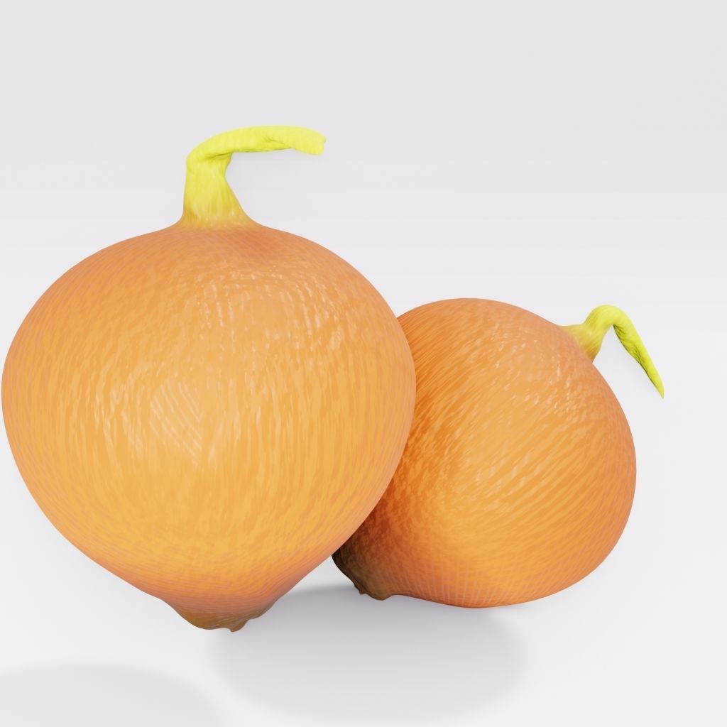 Onion two oranges 3D model_1