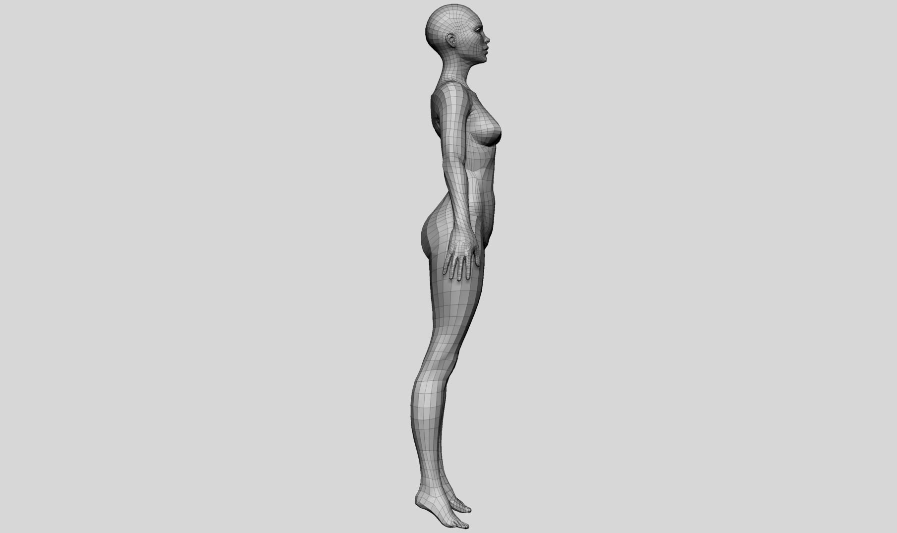 Female Basemesh v4 3D model_5