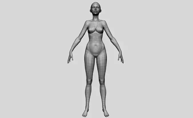 Female Basemesh v4 3D model