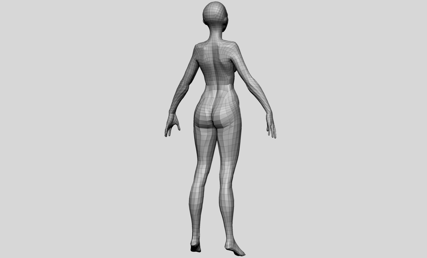 Female Basemesh v4 3D model_6