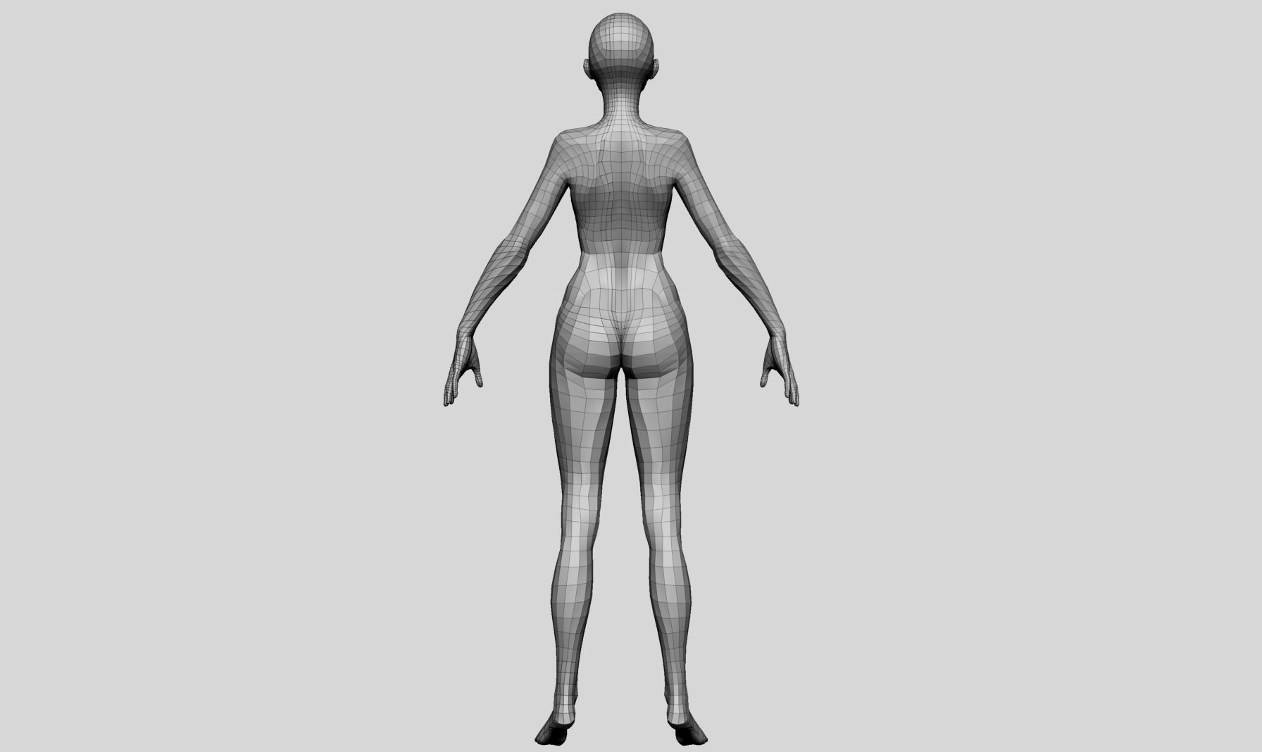 Female Basemesh v4 3D model_2
