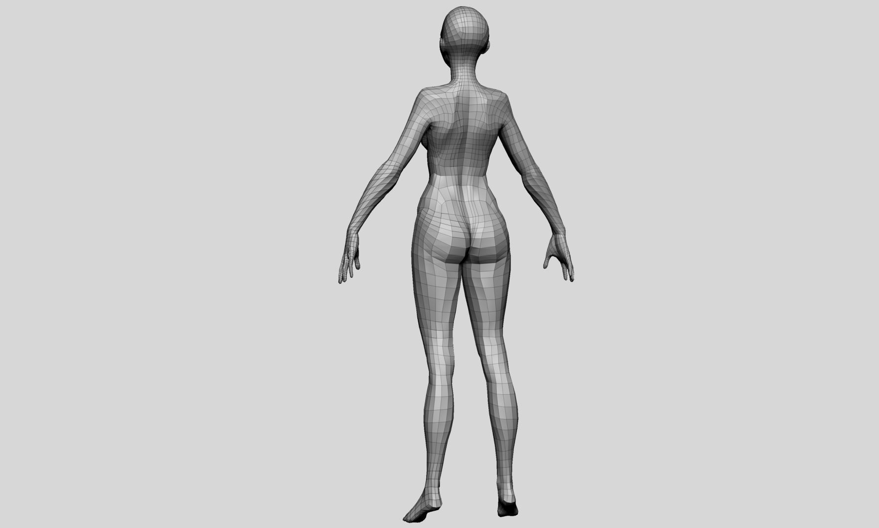 Female Basemesh v4 3D model_7
