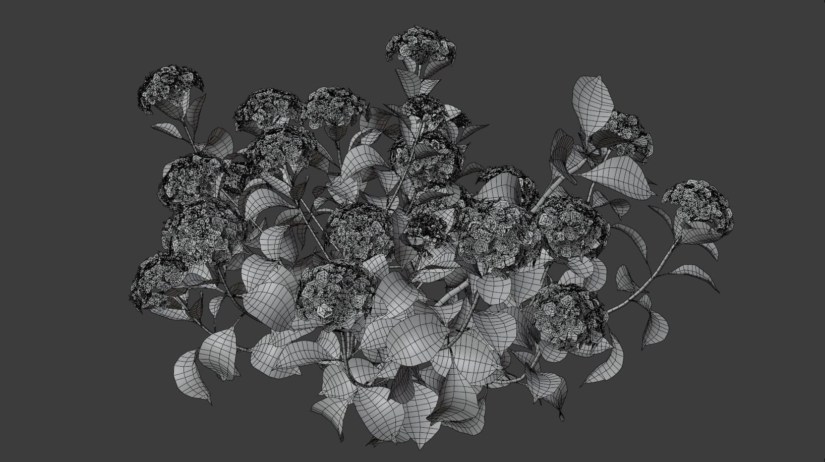 Bigleaf Hydrangea 3D Model 3D model_3
