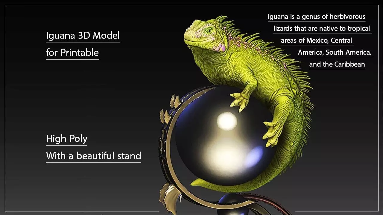 Dragon  for Printable 3D print model_0