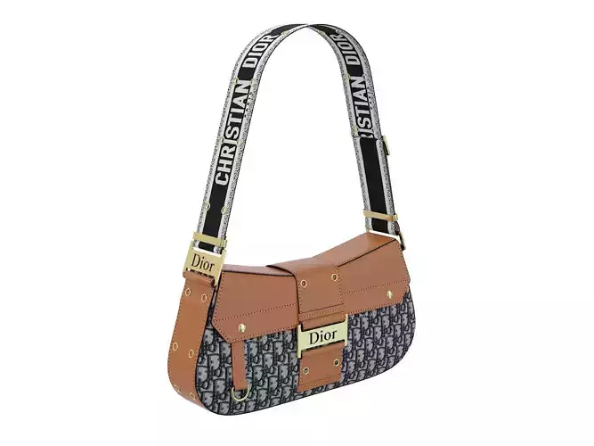 Dior Street Chic Bag Brown Black Print