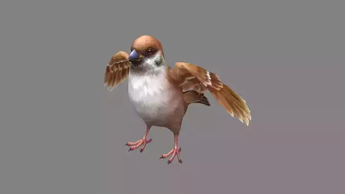 Cartoon sparrow