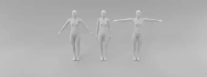 female fashion mannequin fitting set Low-poly 3D model