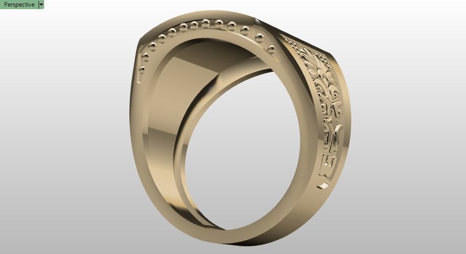 Farahvar ring 001 3D print model_17