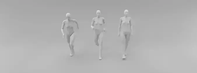 female fashion mannequin dynamic set