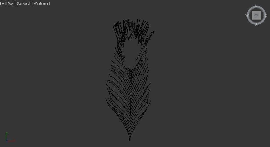 pecock feather 3D model_4