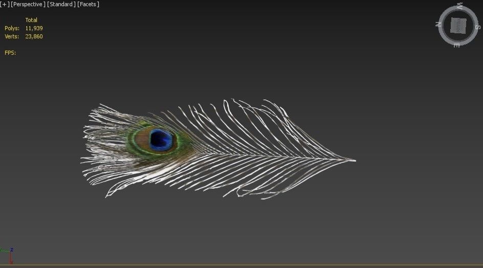 pecock feather 3D model_2