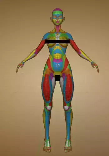 Base Feemale body topology