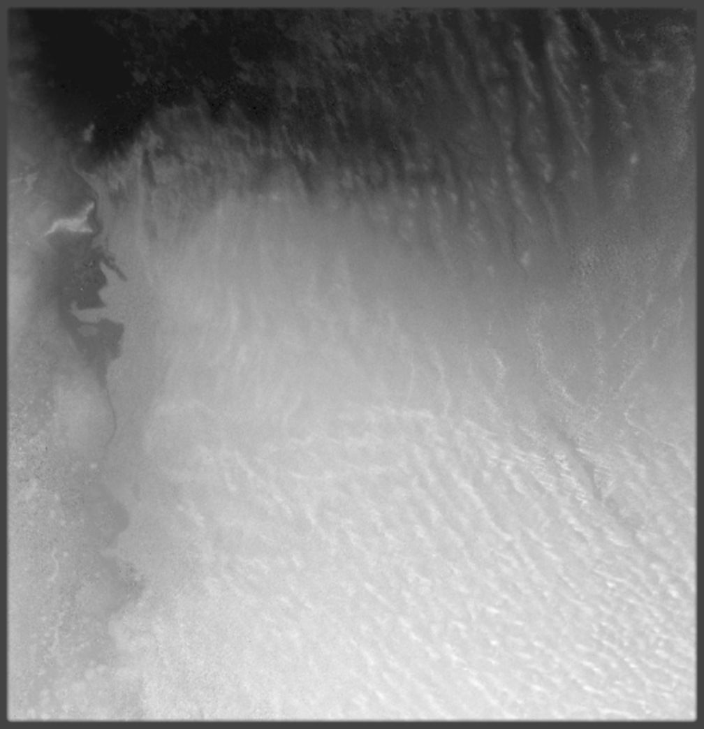 Algeria High resolution 36k displacement height and 3D geometry Texture_5