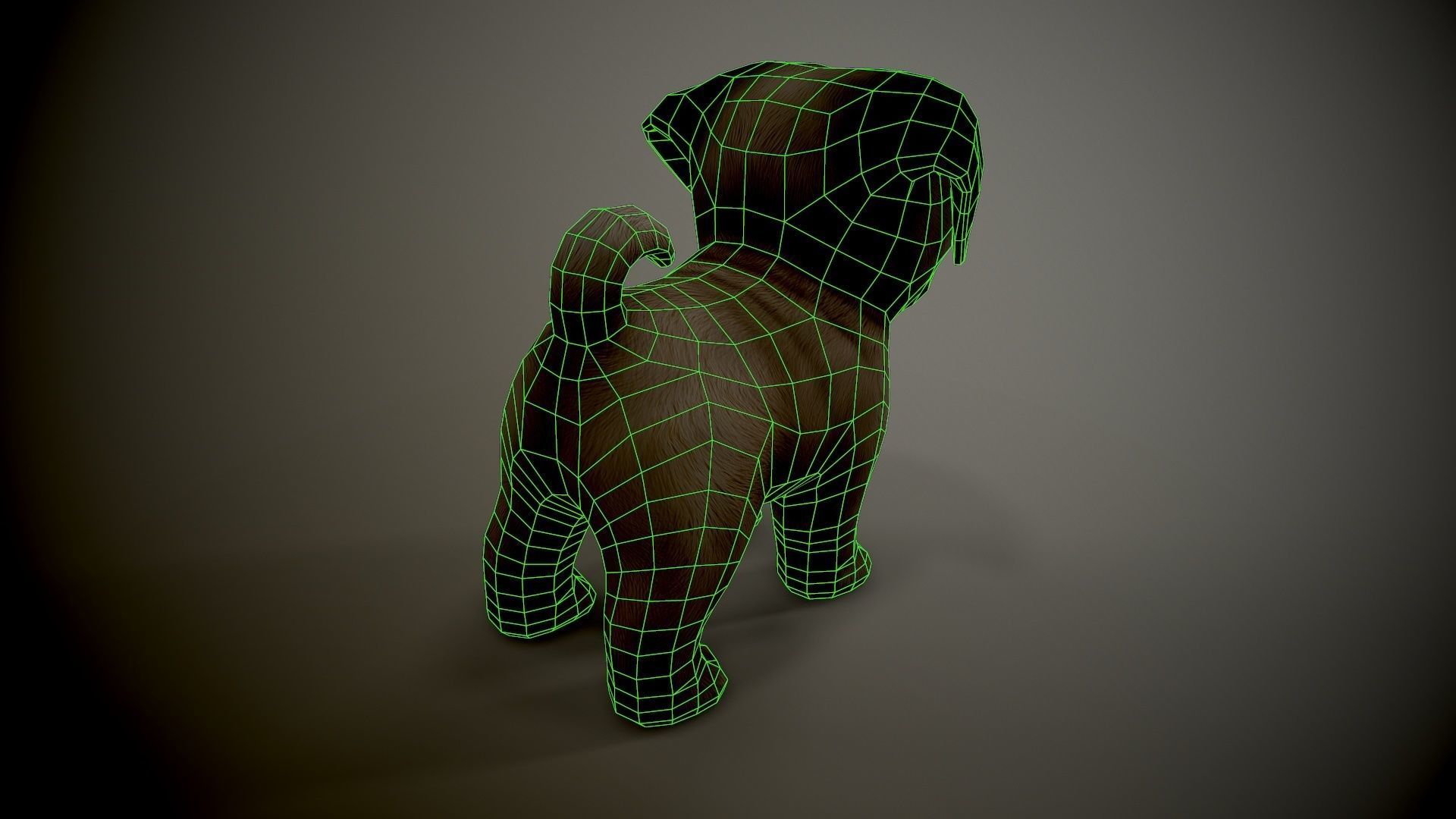 Pug Mops Low-poly 3D model_7