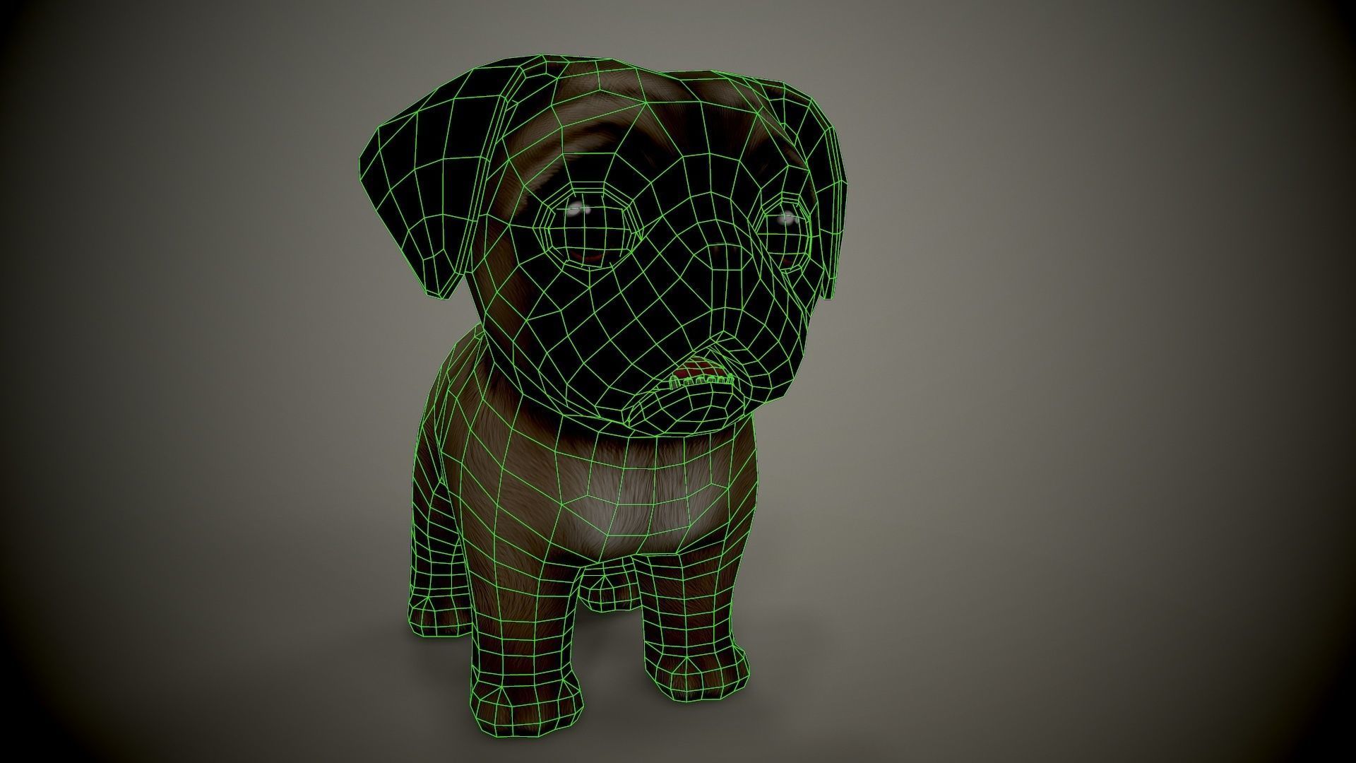 Pug Mops Low-poly 3D model_5