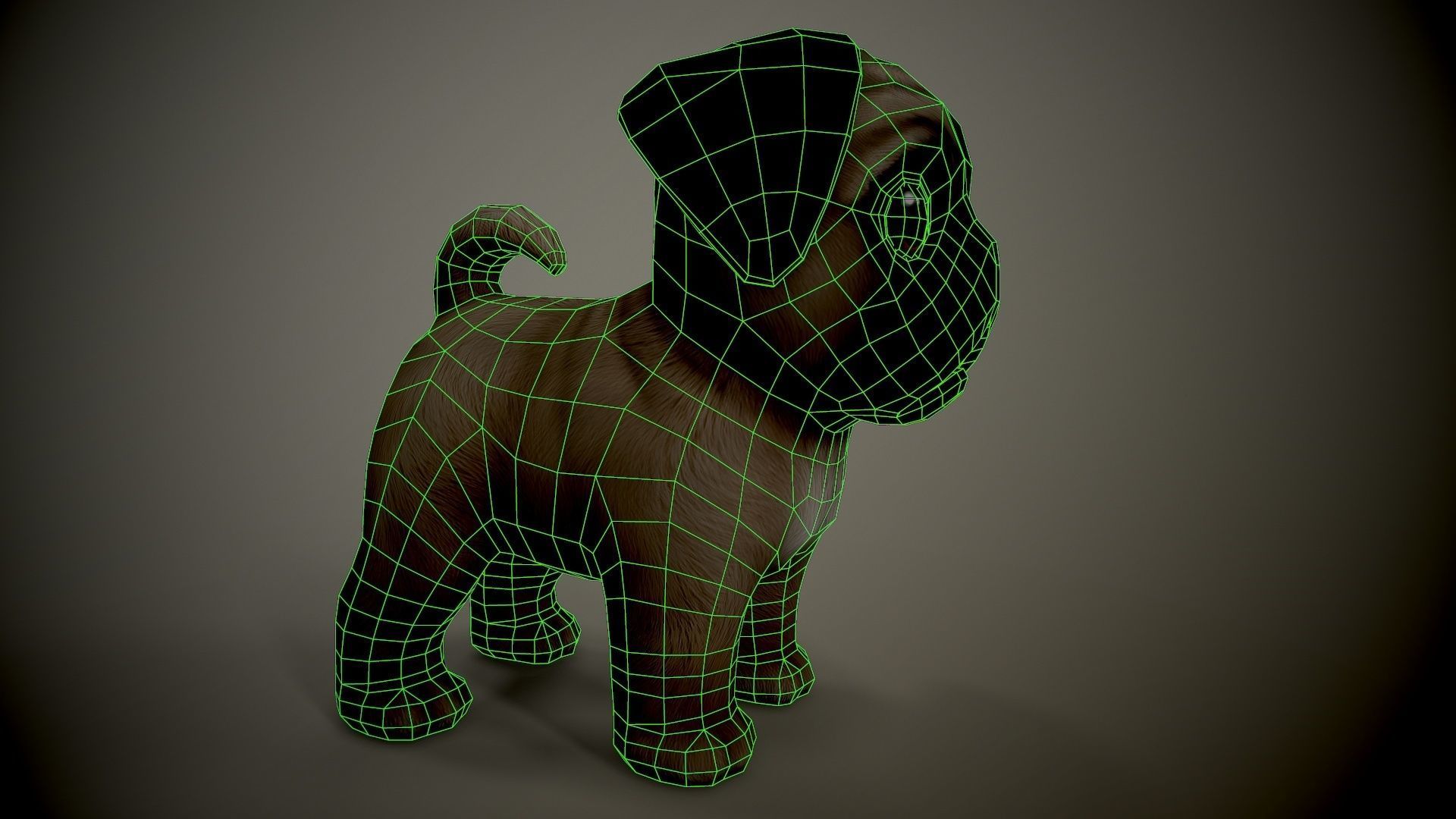 Pug Mops Low-poly 3D model_6