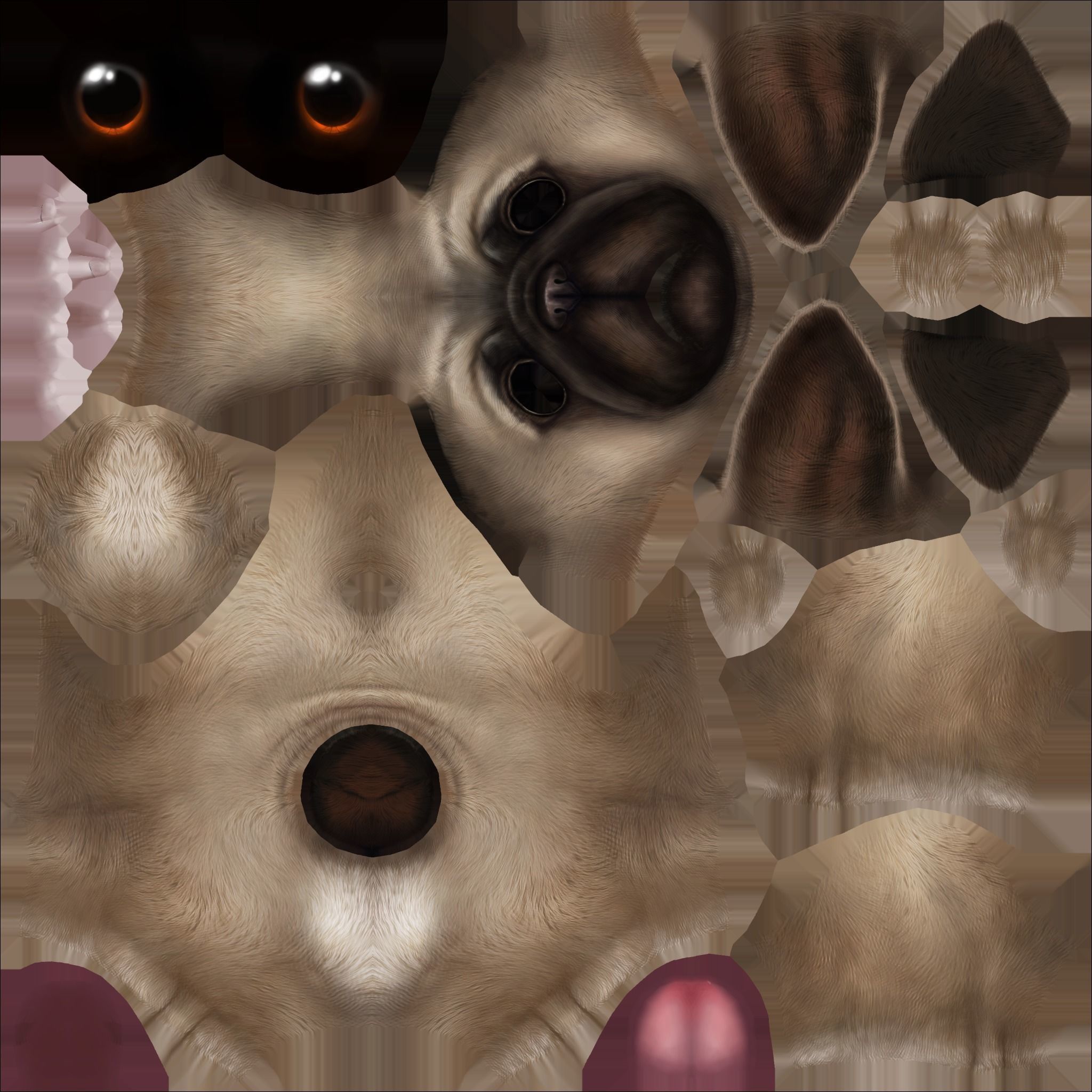 Pug Mops Low-poly 3D model_9