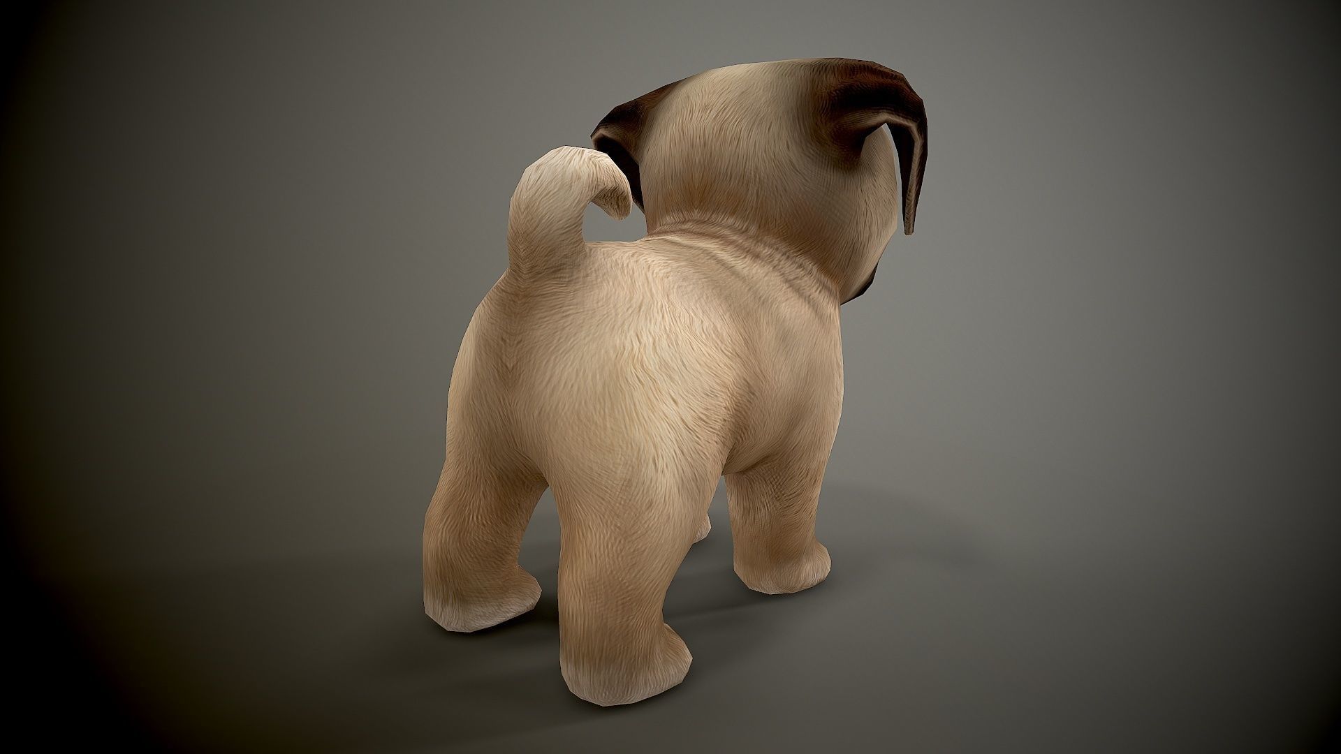 Pug Mops Low-poly 3D model_3