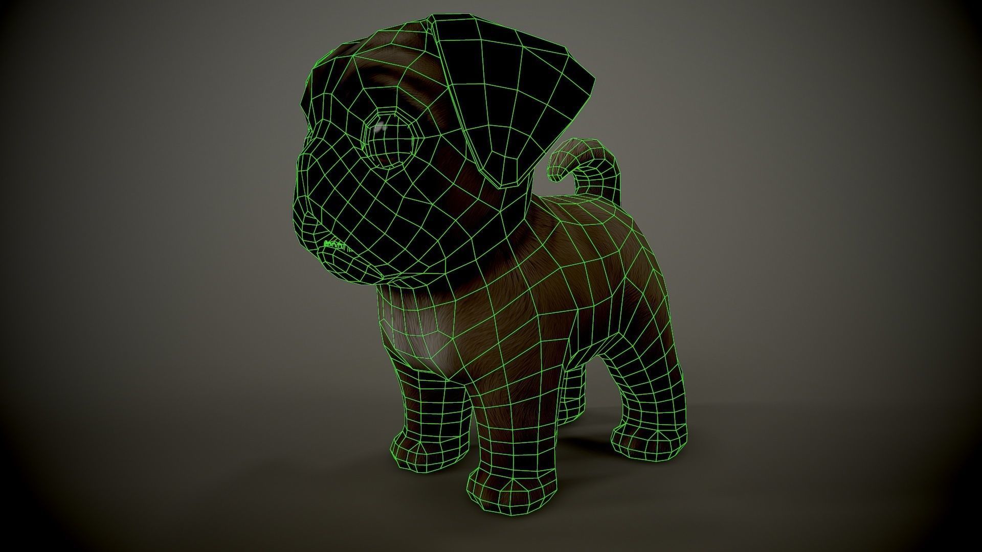 Pug Mops Low-poly 3D model_8