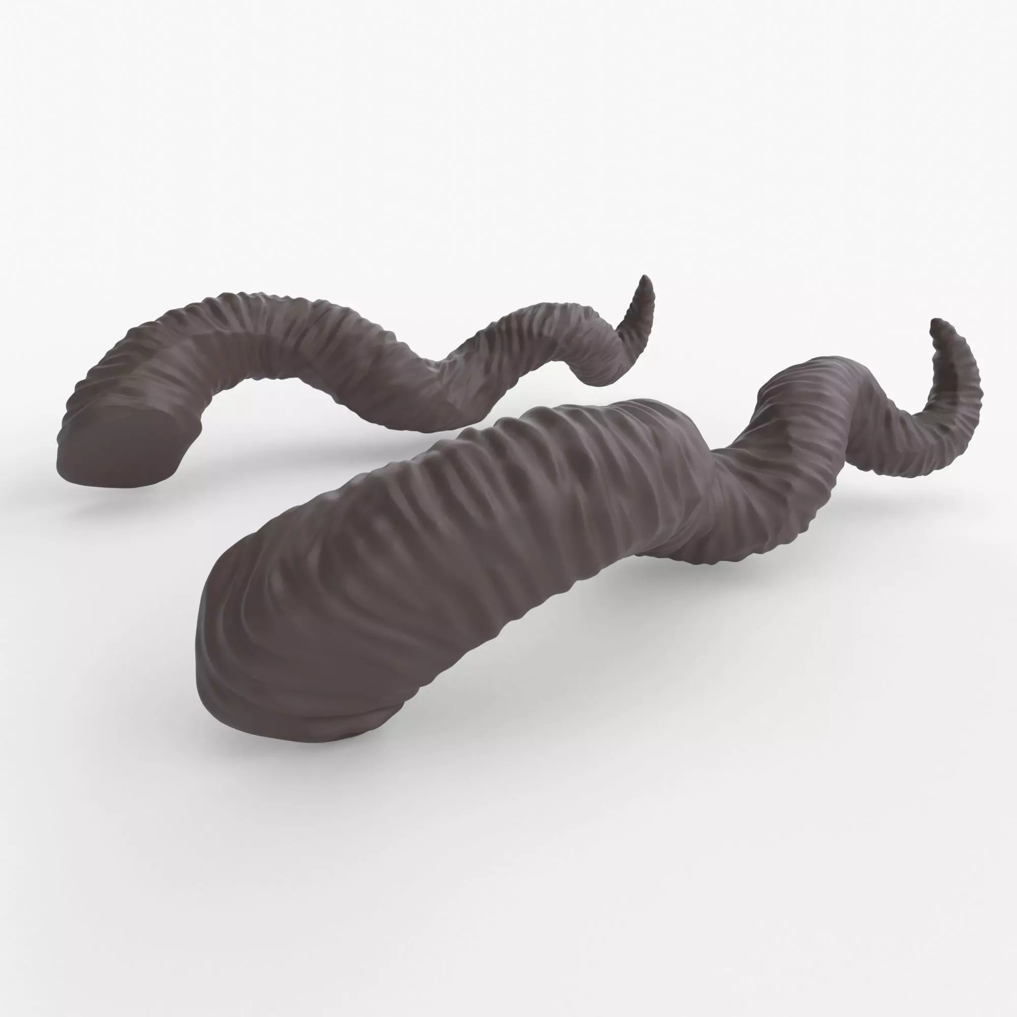 Twisted Horns - Faerne 3D print model_0