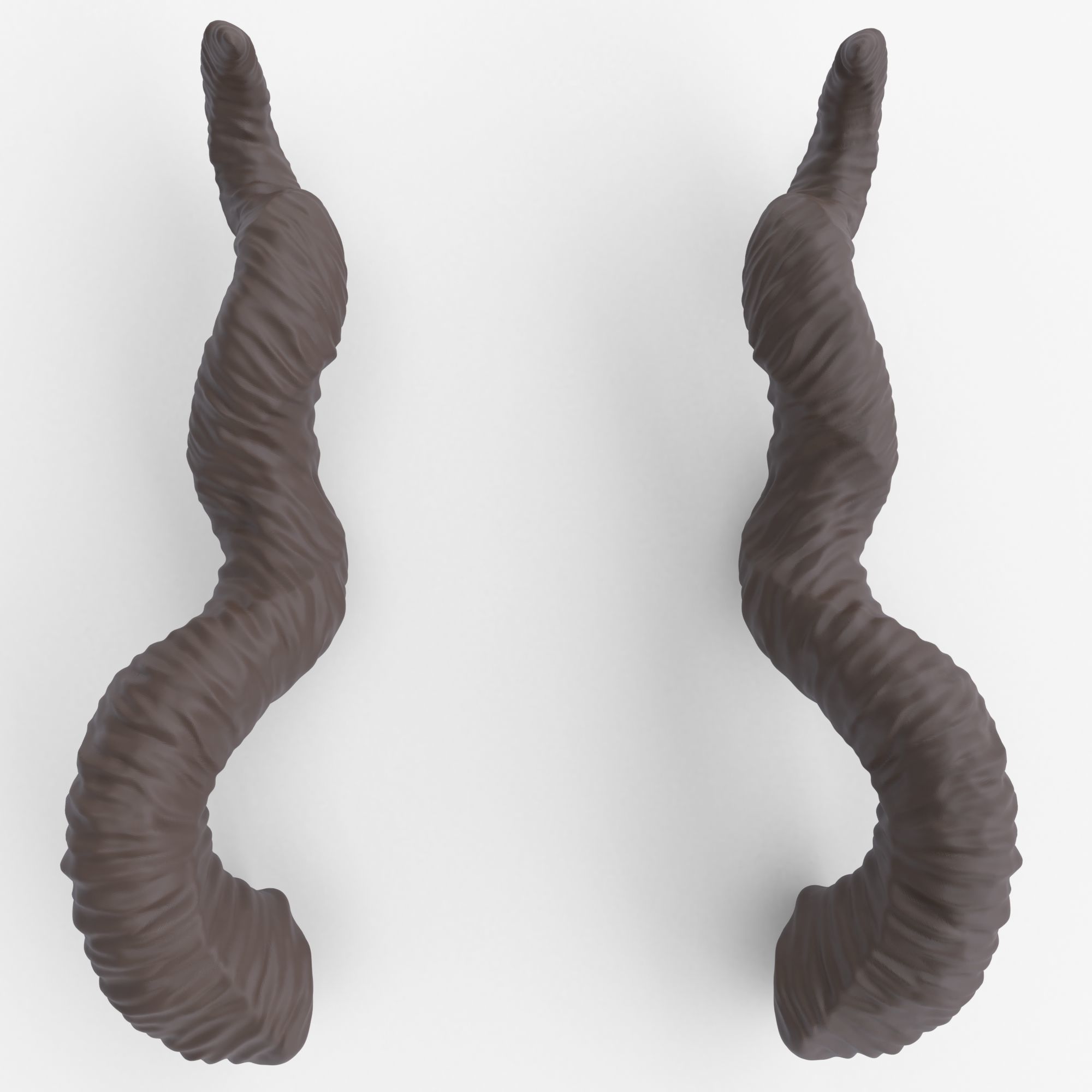 Twisted Horns - Faerne 3D print model_2