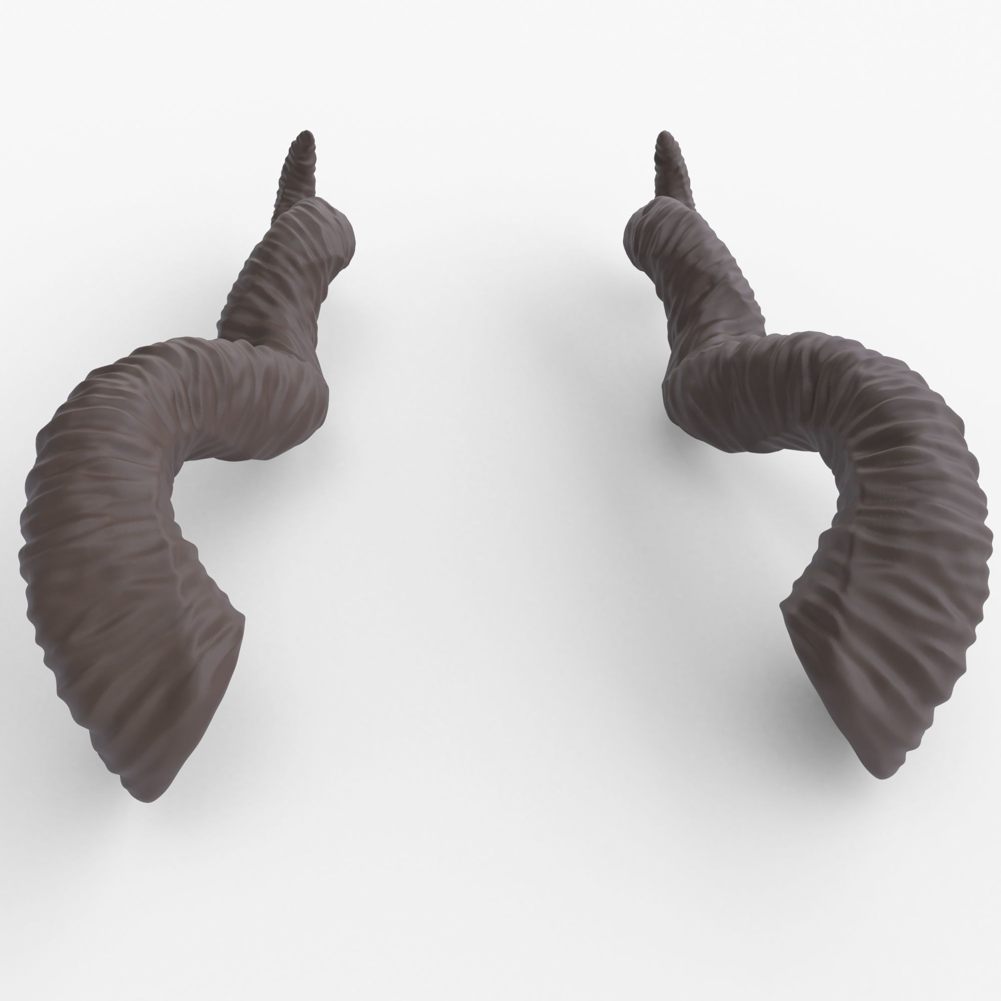 Twisted Horns - Faerne 3D print model_3