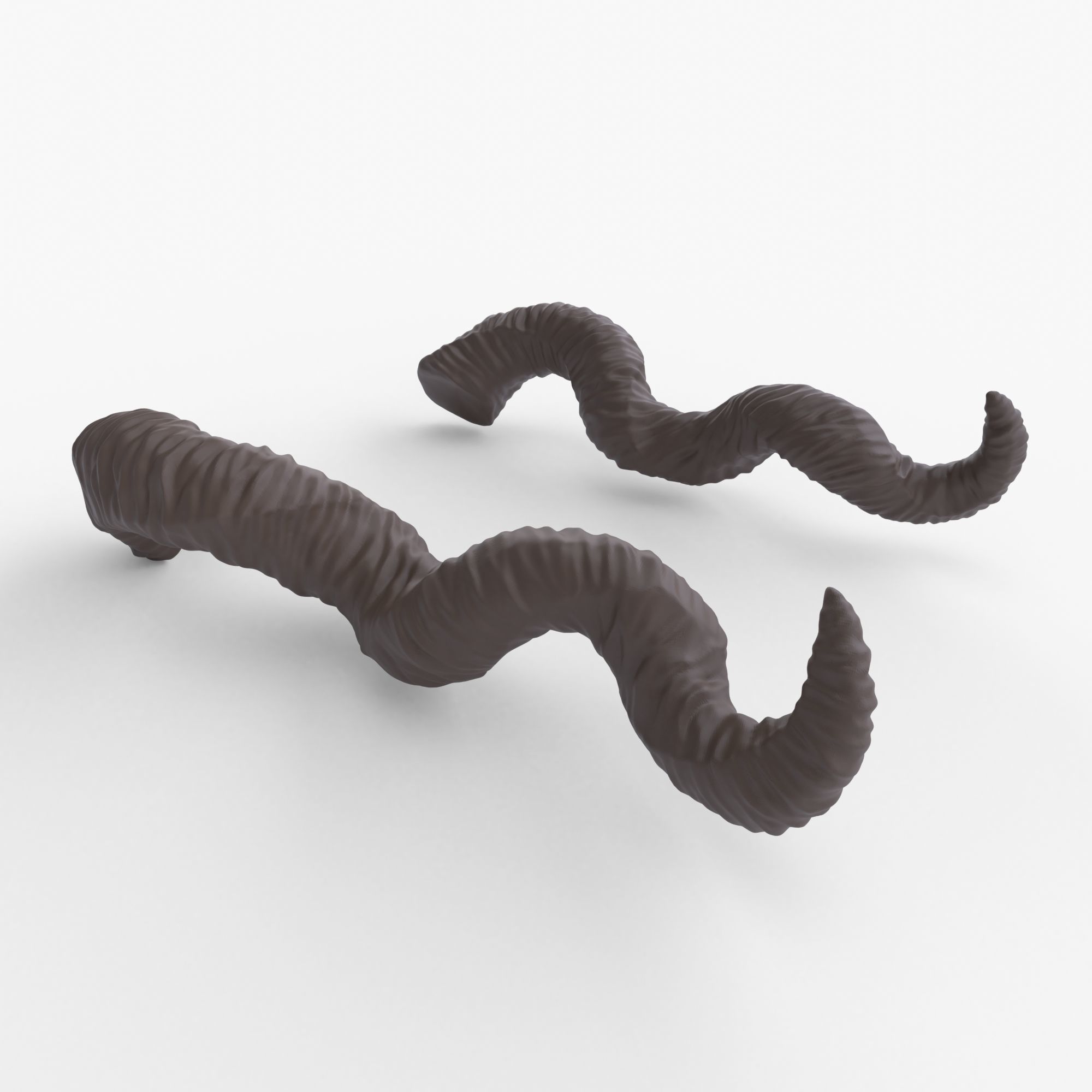 Twisted Horns - Faerne 3D print model_1