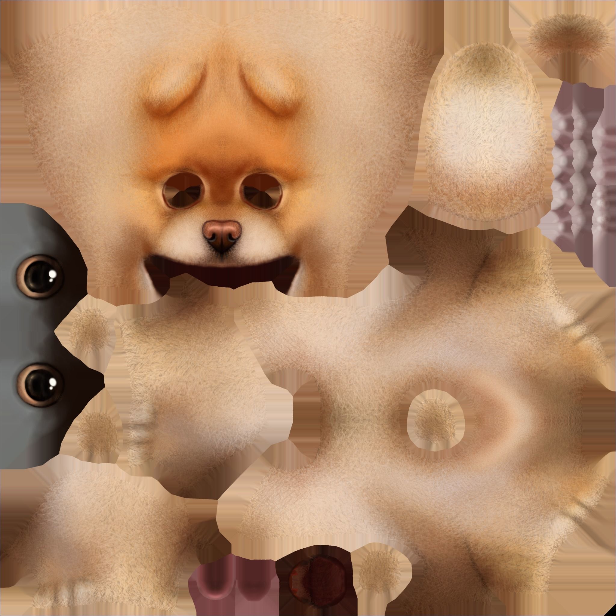 Spitz cartoon dog with big eyes Low-poly 3D model_14