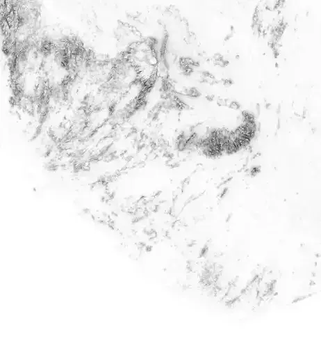 Liberia High resolution 8k occlusion map