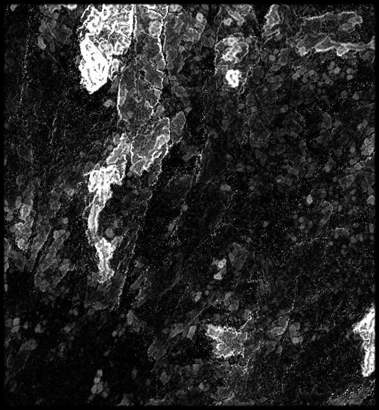 Liberia High resolution 8k thickness map Texture_4