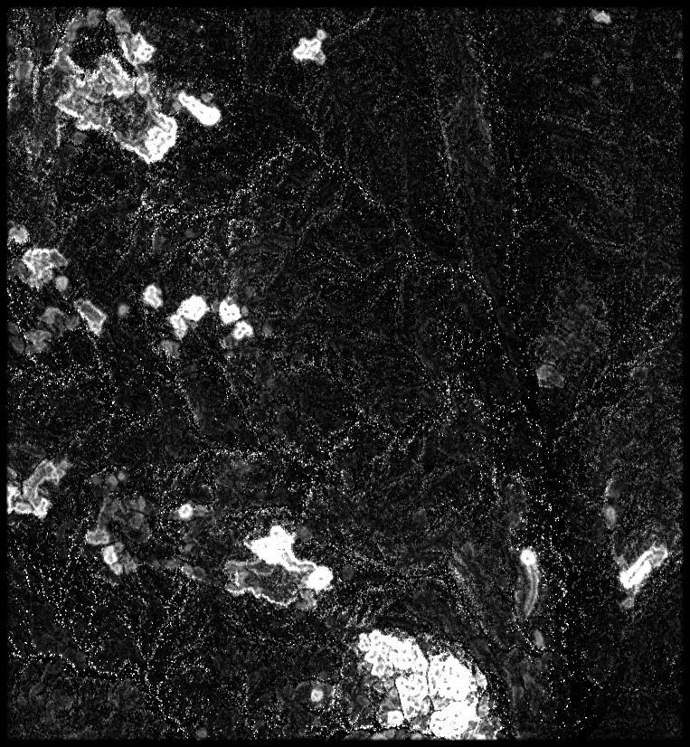 Liberia High resolution 8k thickness map Texture_5