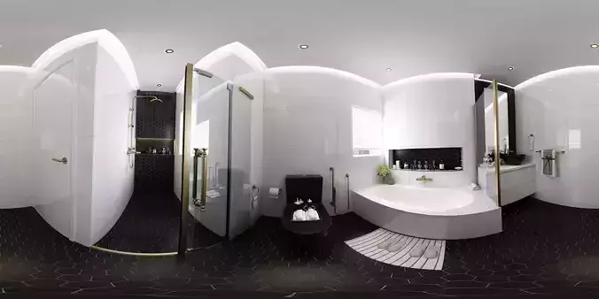 black and White Bathroom 