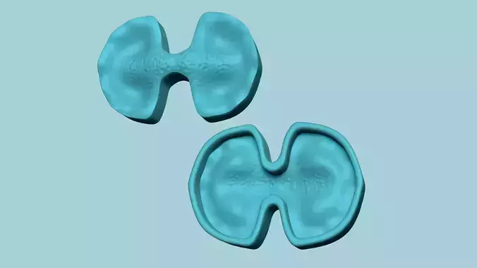 Phalenopsis Orchid - Molding Arrangement EVA Foam Craft