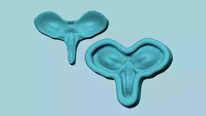 Phalenopsis Orchid Kernel - Molding Arrangement EVA Foam Craft