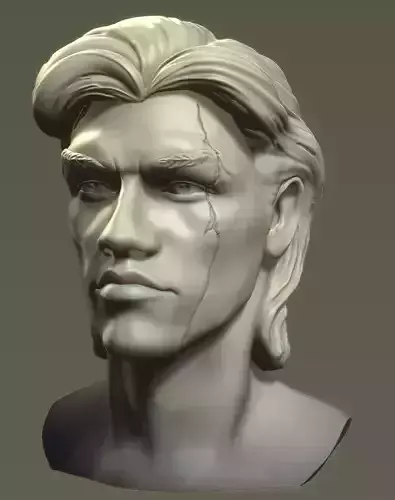 Head of brutal male with scar