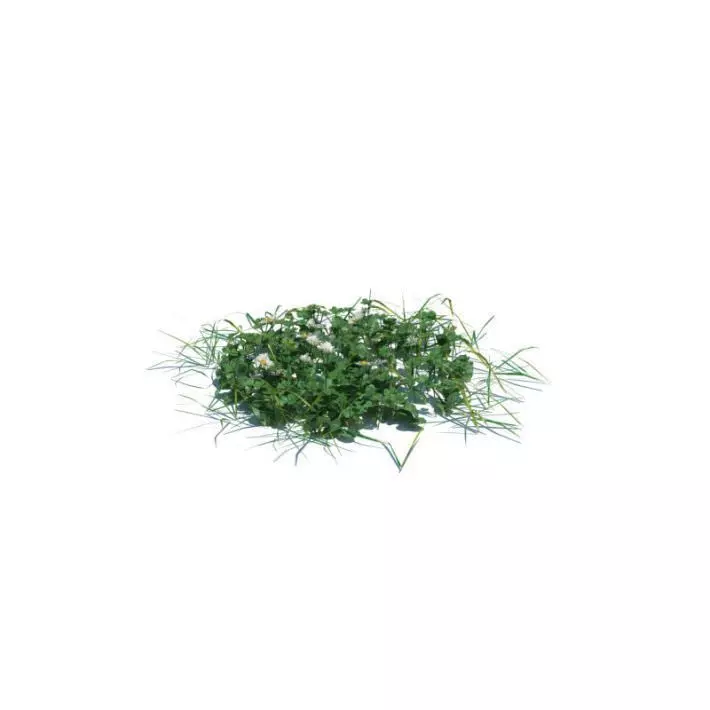 Simple Green Grass 3D model_0