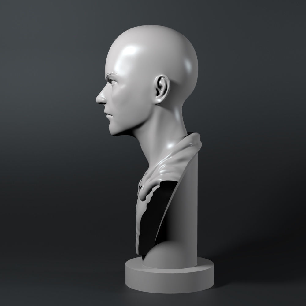 Saitama bust 3D print model_2