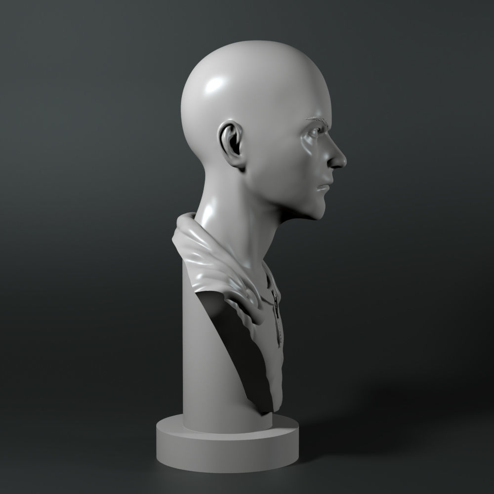 Saitama bust 3D print model_5