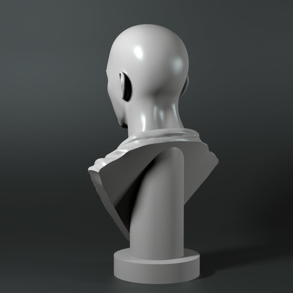 Saitama bust 3D print model_4