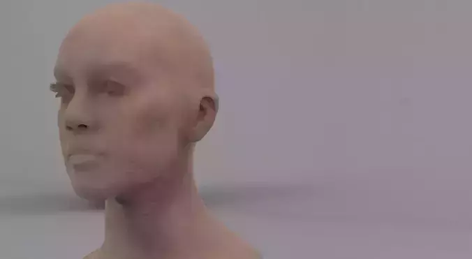 Rosie 3D model head sculpture