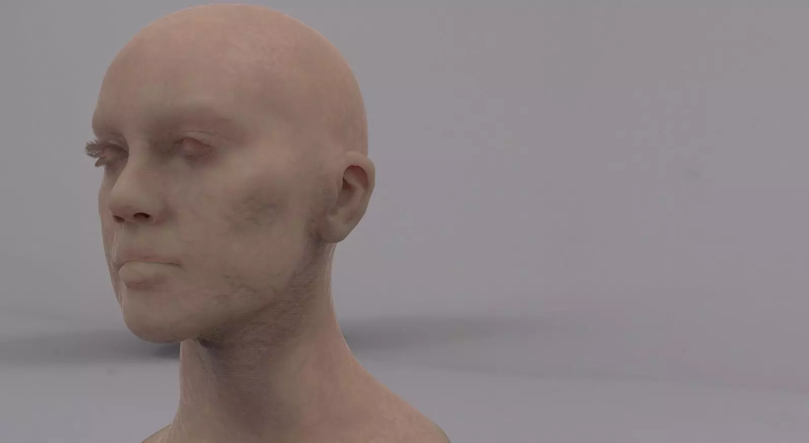 Rosie 3D model head sculpture 3D model_0