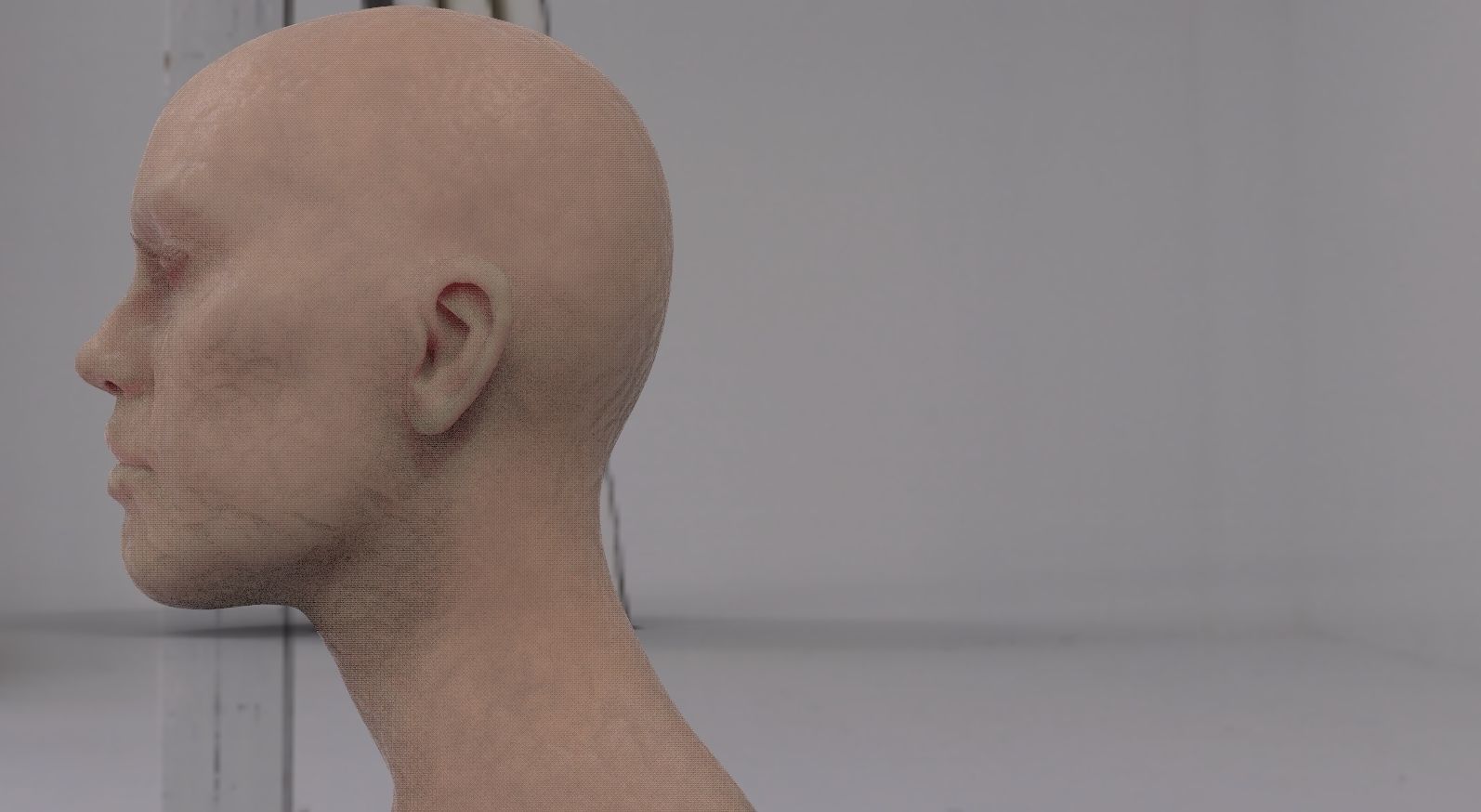 Rosie 3D model head sculpture 3D model_1