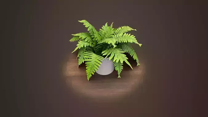 Houseplant fern Low-poly 3D model