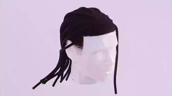 Long Dreads 3 - Braided Low-poly 3D model
