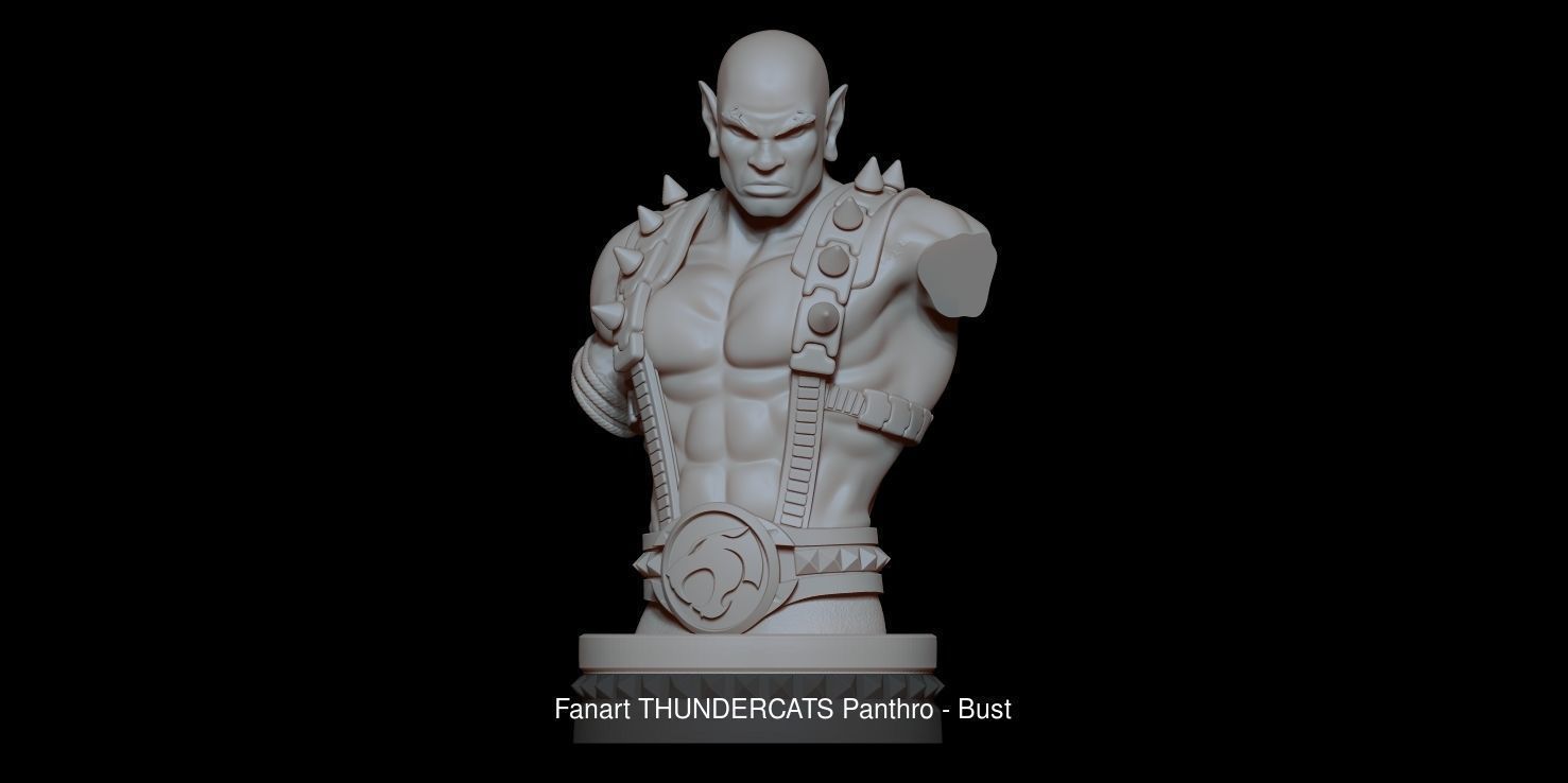 Fanart THUNDERCATS Collection _6