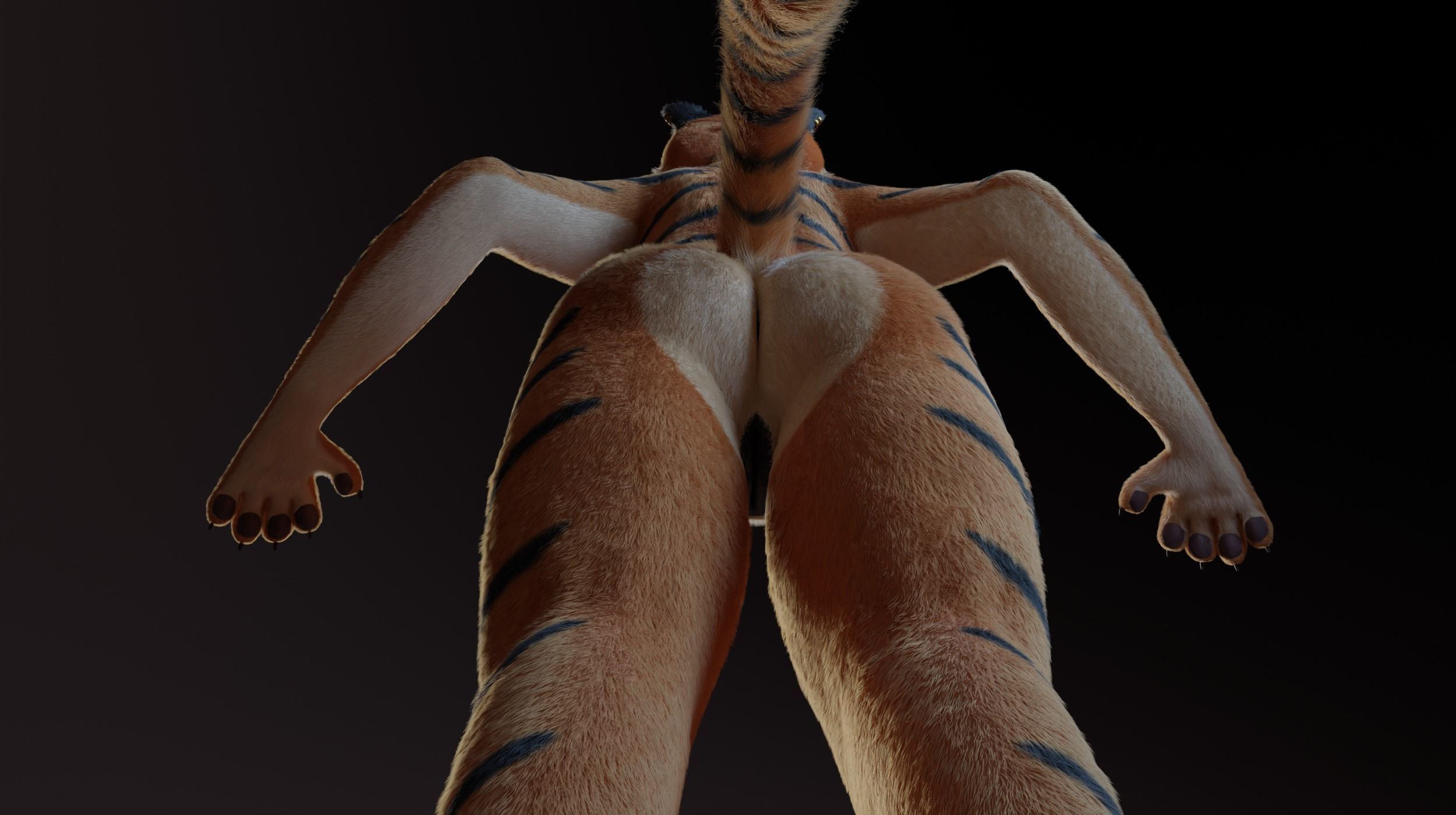 Morgana Anthro Tiger 3D model_16