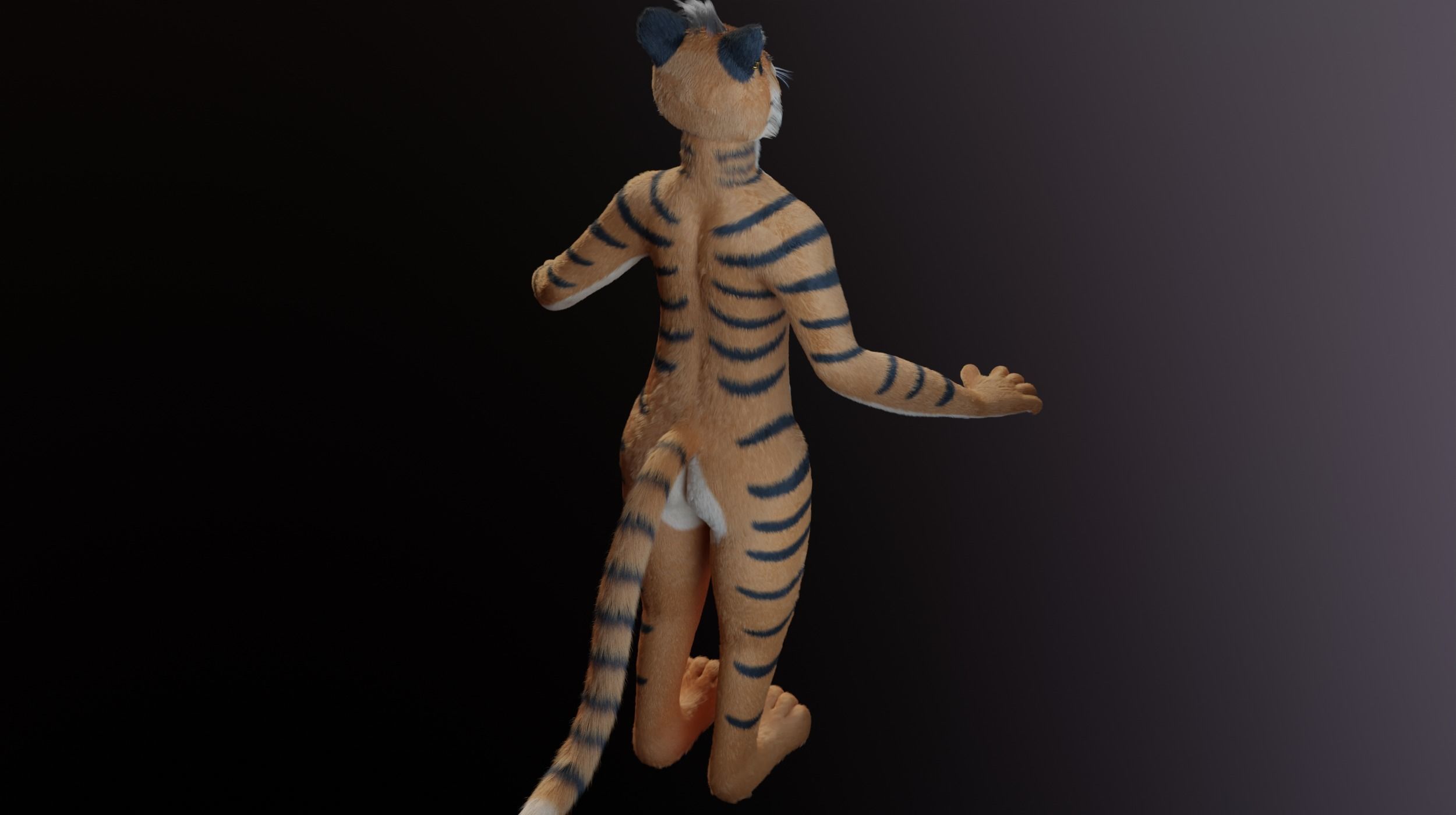 Morgana Anthro Tiger 3D model_7